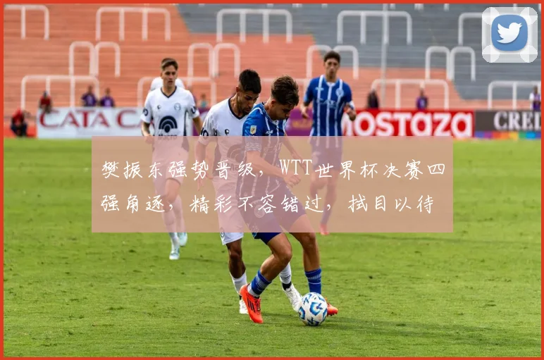 樊振东强势晋级，WTT世界杯决赛四强角逐，精彩不容错过，拭目以待