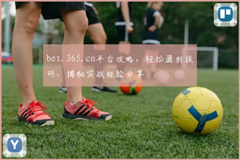 bet.365.cn平台攻略，轻松盈利技巧，揭秘实战经验分享